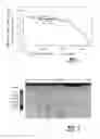 Fig. 02 - Casting steel strip