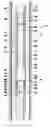 Fig. 01 - Tubing fill and testing valve
