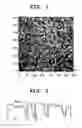 Fig. 02 - Printed circuit board with embedded capacitors therein and manufacturing process thereof