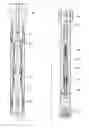 Fig. 01 - Deep water drilling with casing
