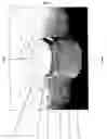 Fig. 02 - Novel device