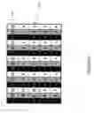 Fig. 22 - Method and system for creating and using redundant and high capacity barcodes