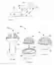 Fig. 06 - Air freshener and method