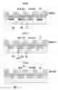 Fig. 06 - Method of manufacturing liquid ejection head