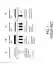 Fig. 02 - Method to generate high efficient devices which emit high quality light for illumination