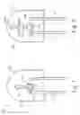 Fig. 02 - Oxynitride phosphors for use in lighting applications having improved color quality
