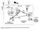 Fig. 02 - Wireless host intrusion detection system