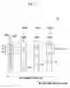 Fig. 12 - Liquid droplet ejection apparatus
