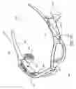Fig. 06 - Electronic eyewear with hands-free operation