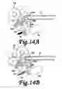 Fig. 15 - Image reading apparatus, and image expansion and contraction correcting method