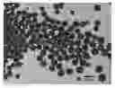 Fig. 01 - Capsules, materials for use therein and electrophoretic media and displays containing such capsules