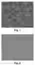 Fig. 02 - Capsules, materials for use therein and electrophoretic media and displays containing such capsules