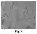 Fig. 03 - Capsules, materials for use therein and electrophoretic media and displays containing such capsules