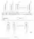 Fig. 02 - Crossbar switching circuit and operating method thereof