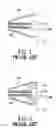 Fig. 02 - Probe structure for an ear thermometer