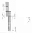 Fig. 08 - MOTION DETECTION METHOD FOR DETECTING MOTION OBJECTS IN VIDEO FRAMES GENERATED FROM A VIDEO SURVEILLANCE SYSTEM