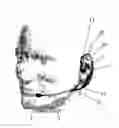 Fig. 01 - Configurable headset