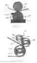 Fig. 04 - Process for making and using additive delivery laminate