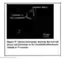 Fig. 06 - Nanoparticle compositions, coatings and articles made therefrom, methods of making and using said compositions, coatings and articles