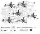 Fig. 01 - Ion conductive polymer electrolyte and its membrane electrode assembly