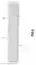 Fig. 03 - Aqueous electrolyte solution absorber and method for producing it