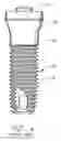 Fig. 07 - Natural implant system