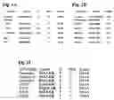 Fig. 02 - Methods and compositions for identifying anti-HCV agents