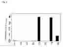 Fig. 04 - Method of typing gene polymorphisms