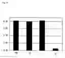 Fig. 13 - Method of typing gene polymorphisms