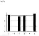 Fig. 20 - Method of typing gene polymorphisms