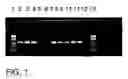 Fig. 02 - Molecular identification of bacteria of genus and related genera