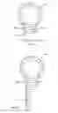 Fig. 02 - Probe biochips and methods for use thereof