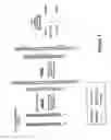 Fig. 02 - Assay for human DNA for gender determination