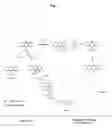 Fig. 02 - Chemiluminescent compounds and their use