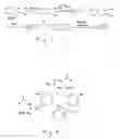 Fig. 02 - Surfaces coated with target-induced fluorescent compounds for detection of target elements