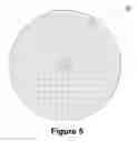Fig. 06 - Recreational Disc Locator Device