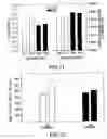Fig. 09 - METHOD AND APPARATUS FOR SPEED CONTROLLED ECCENTRIC EXERCISE TRAINING