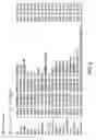 Fig. 03 - Nucleic acids encoding PTH functional domain conjugate peptides
