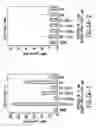 Fig. 04 - Nucleic acids encoding PTH functional domain conjugate peptides