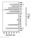 Fig. 07 - Nucleic acids encoding PTH functional domain conjugate peptides