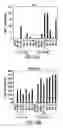 Fig. 20 - Nucleic acids encoding PTH functional domain conjugate peptides