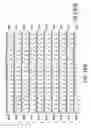 Fig. 24 - Nucleic acids encoding PTH functional domain conjugate peptides