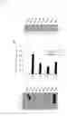 Fig. 07 - Use of a proteasome inhibitor in the treatment of endothelial dysfunction and/or in a low-dose proteasome inhibitor therapy
