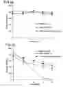 Fig. 02 - Methods for modulating T cell survival by modulating bcl-XL protein level