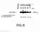 Fig. 09 - Methods for modulating T cell survival by modulating bcl-XL protein level