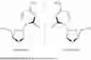 Fig. 19 - Process and methods for the preparation of optically active cis-2-hydroxymethyl-4- (cytosin-1'-yl)-1,3-oxathiolane or pharmaceutically acceptable salts thereof