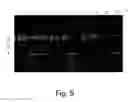 Fig. 07 - Peroxynitrite decomposition catalysts and methods of use thereof