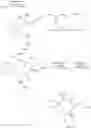 Fig. 45 - Receptor agonists