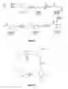 Fig. 05 - Analogs of 4-hydroxyisoleucine and uses thereof