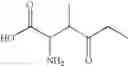 Fig. 116 - Analogs of 4-hydroxyisoleucine and uses thereof